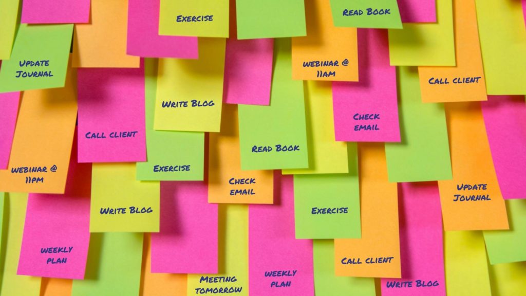 productivity and oganization