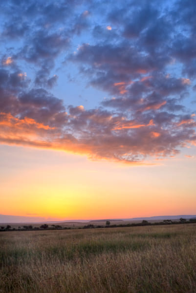 Masai Mara Sunrise