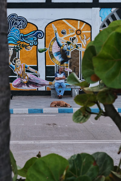 An Evening on the Bench